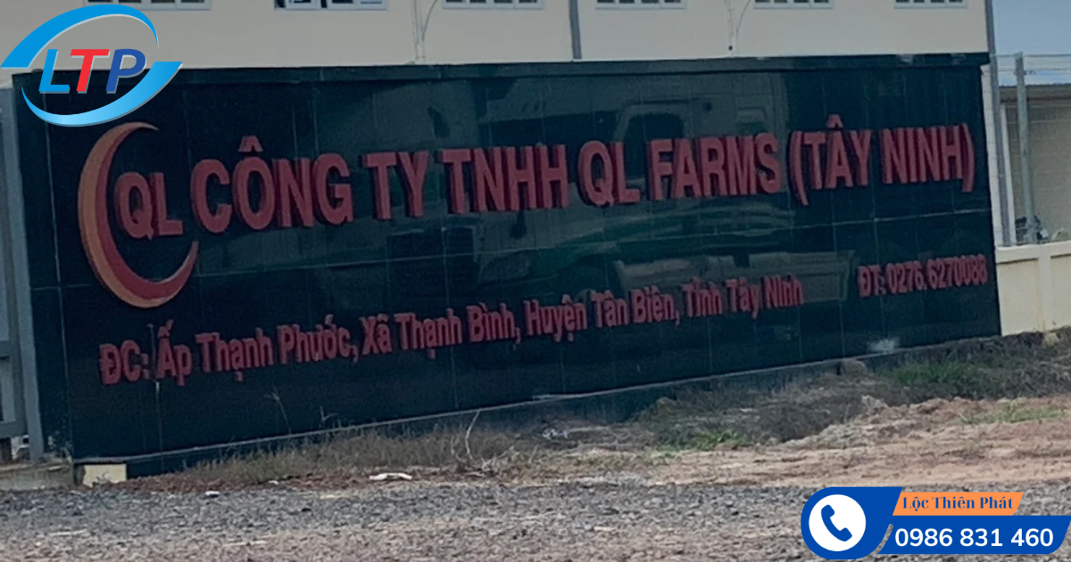 Công Ty Tnhh Ql Farms (Tây Ninh)