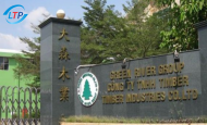 Công Ty Tnhh Timber