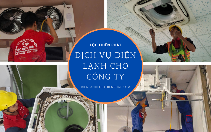 dich-vu-dien-lanh-cho-cong-ty